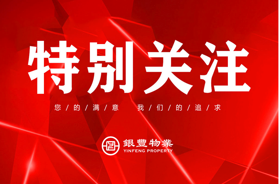 2024澳门官方网站资料